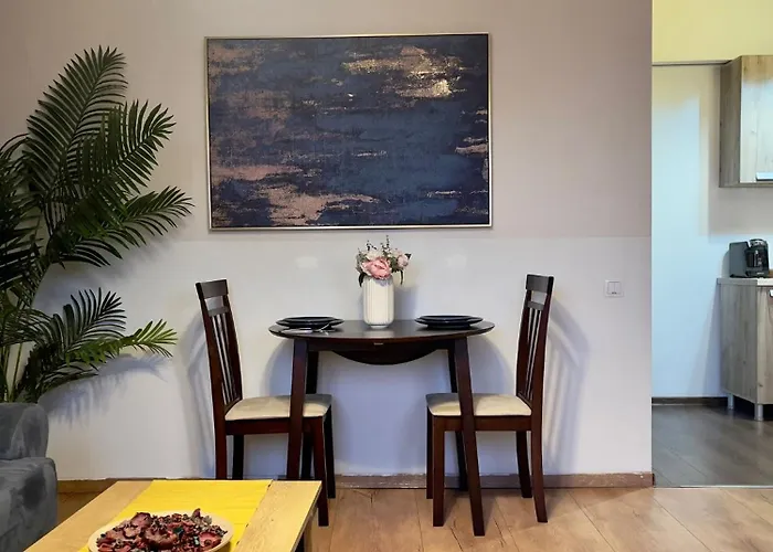 Social Pop * ブカレスト